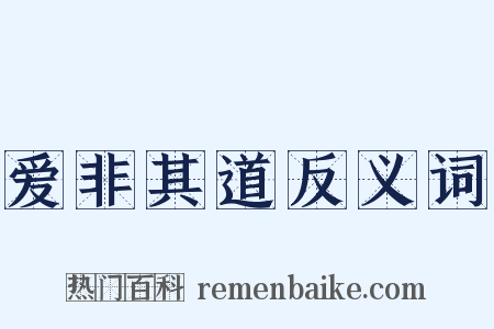 爱非其道反义词是什么意思的图片